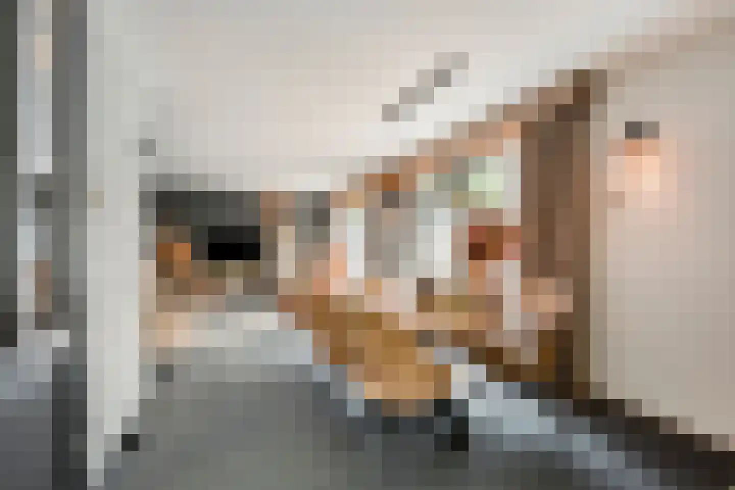 Finnjolstraat 18 Rotterdam thumbnail 10