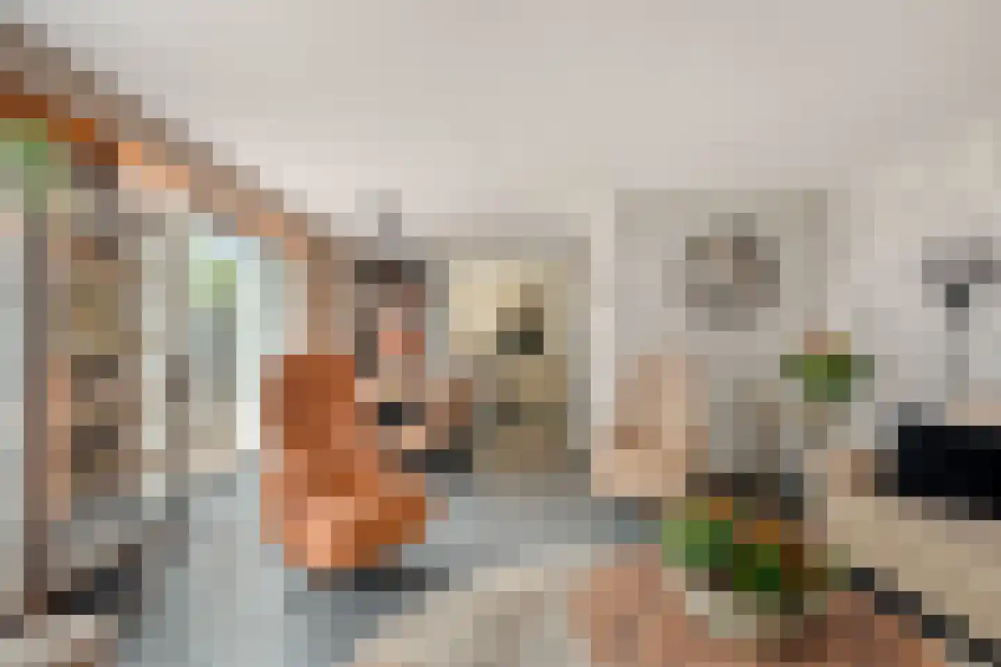 Finnjolstraat 18 Rotterdam thumbnail 12