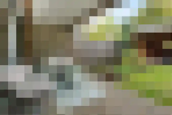 Finnmark 30 Leusden thumbnail 4