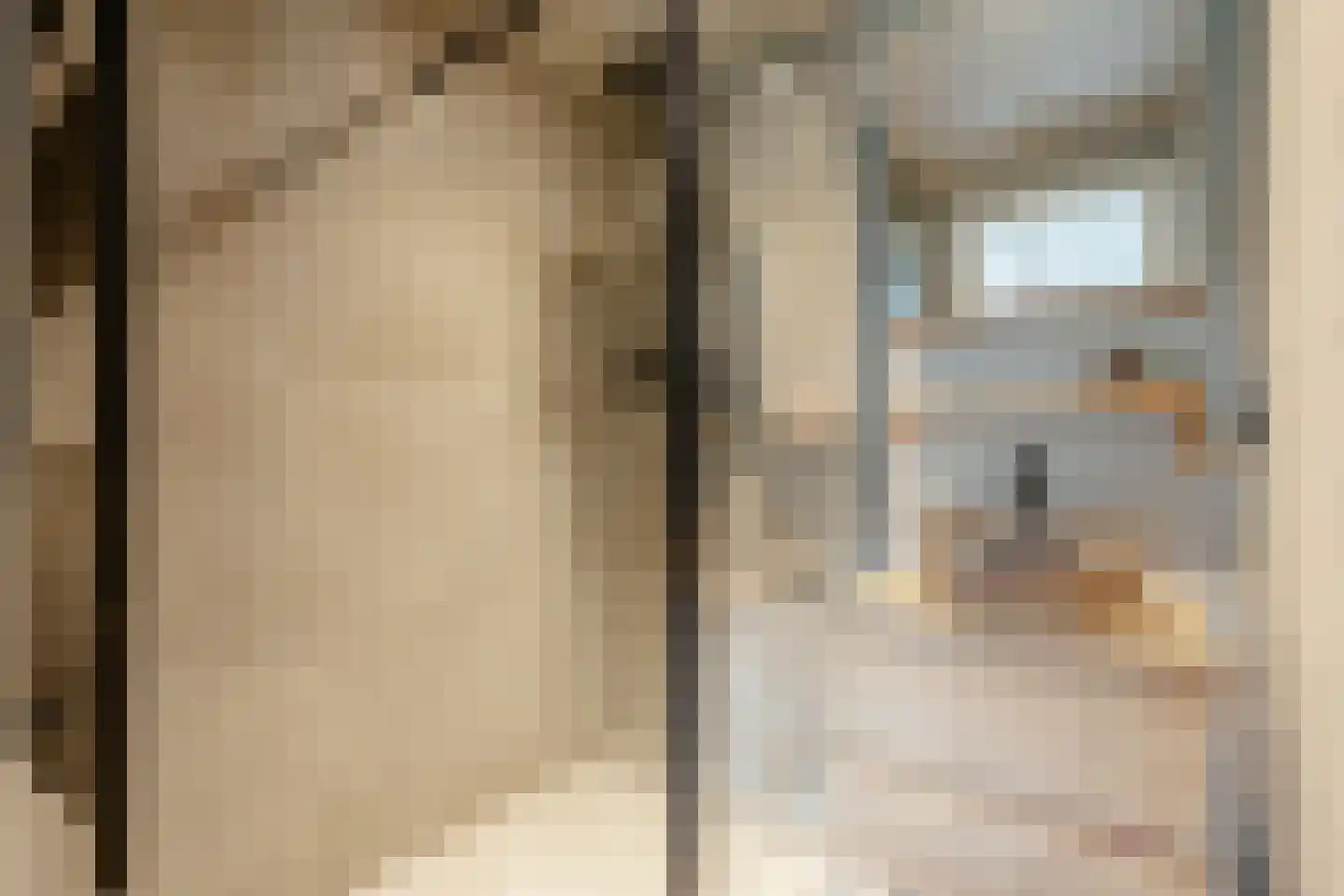Finsenstraat 21 1 Amsterdam thumbnail 25