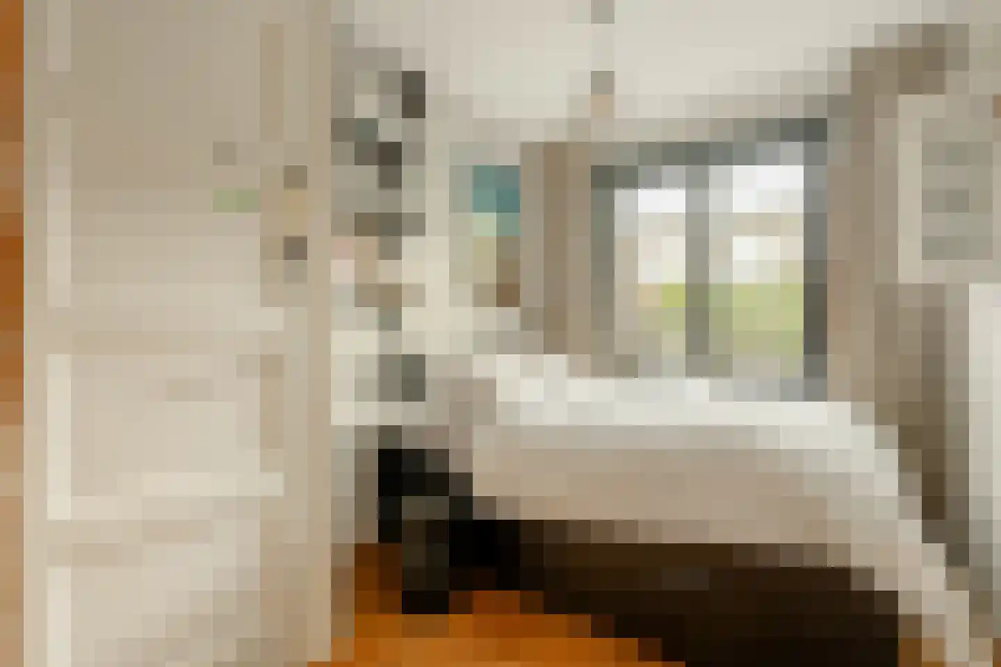 Finsenstraat 21 1 Amsterdam thumbnail 29