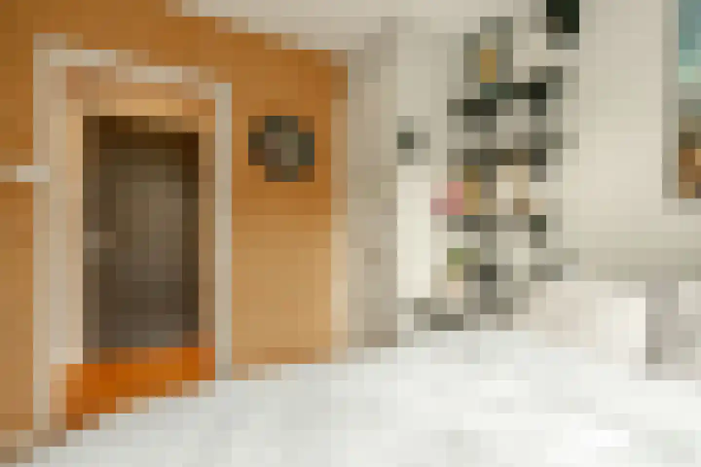Finsenstraat 21 1 Amsterdam thumbnail 30