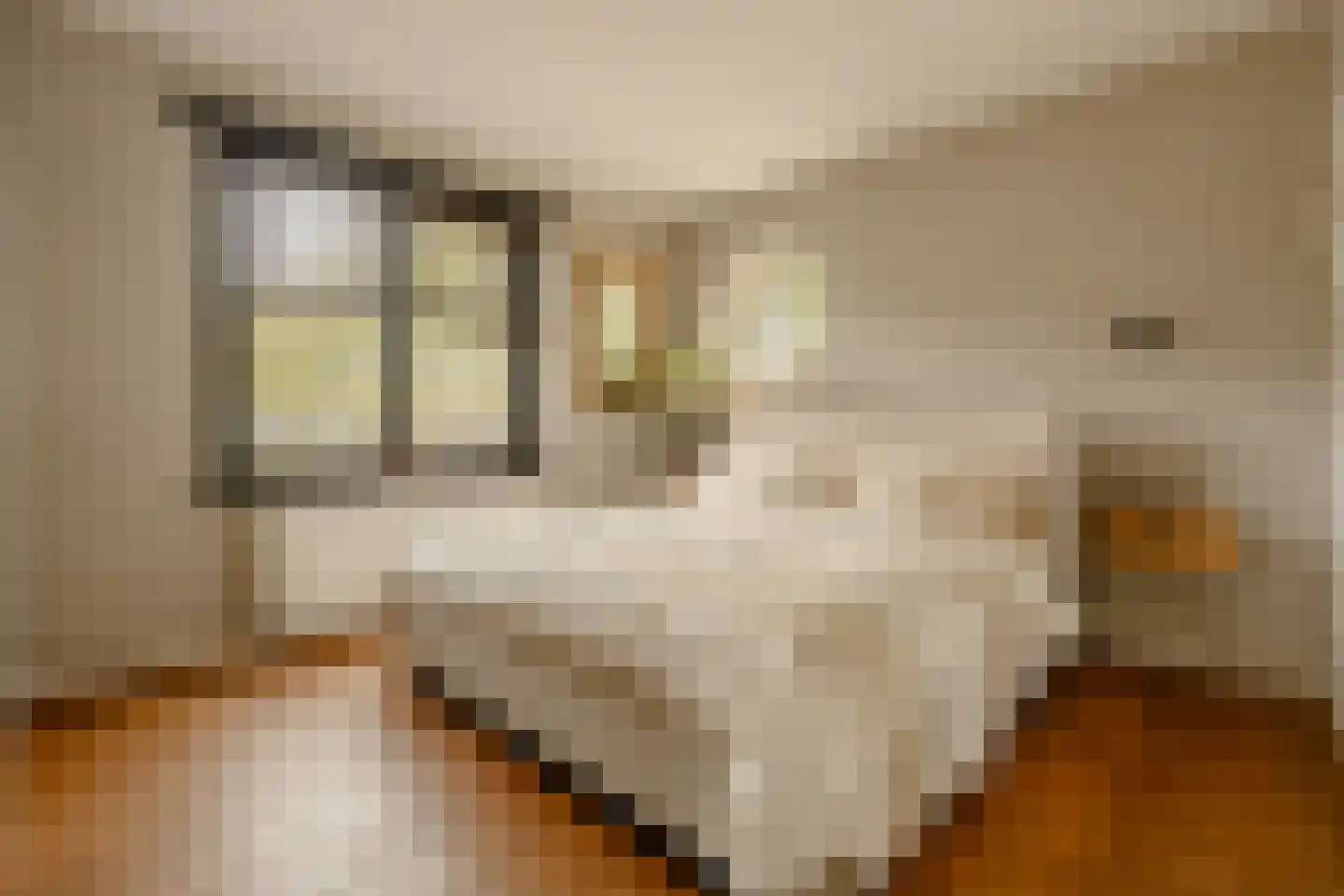 Finsenstraat 21 H Amsterdam thumbnail 18