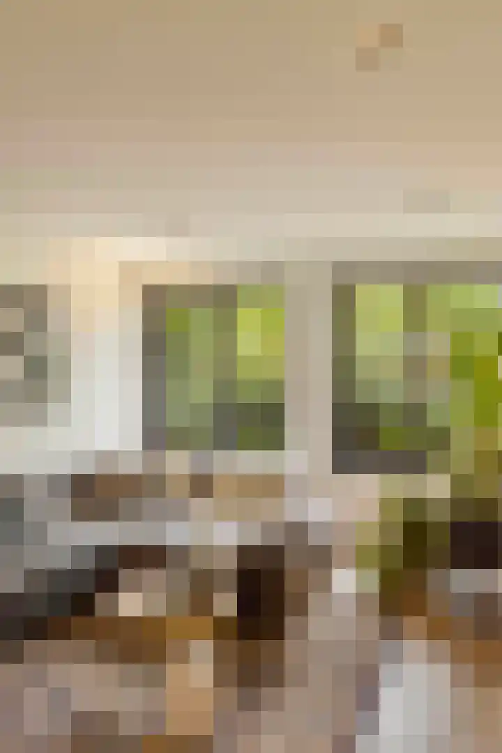 Finsenstraat 5 1 Amsterdam thumbnail 7