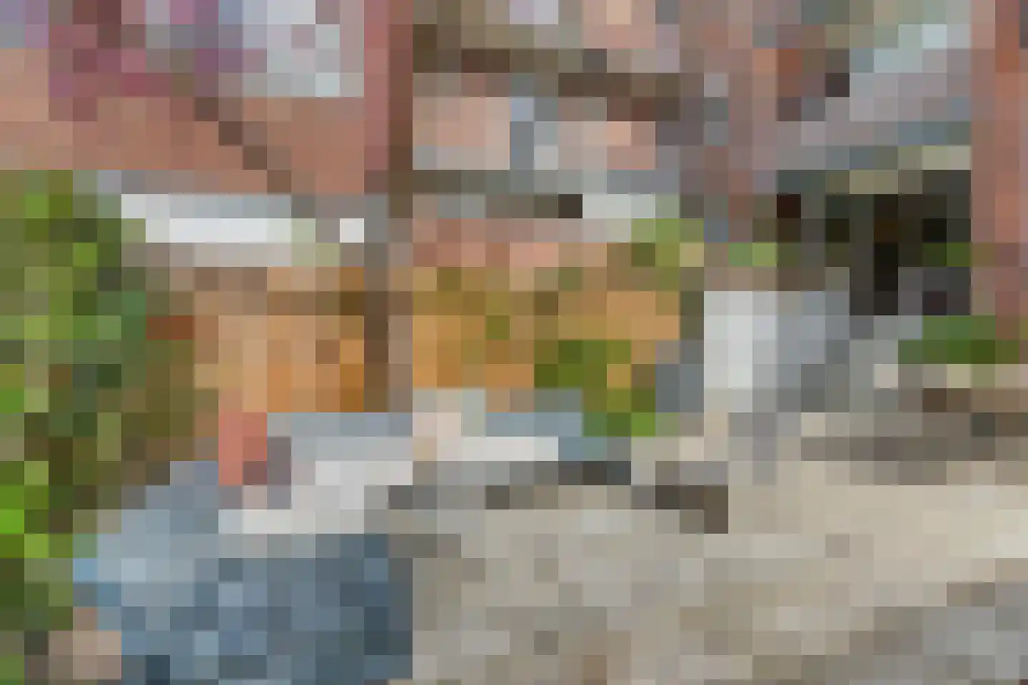 Finsenstraat 8 1 Amsterdam thumbnail 29