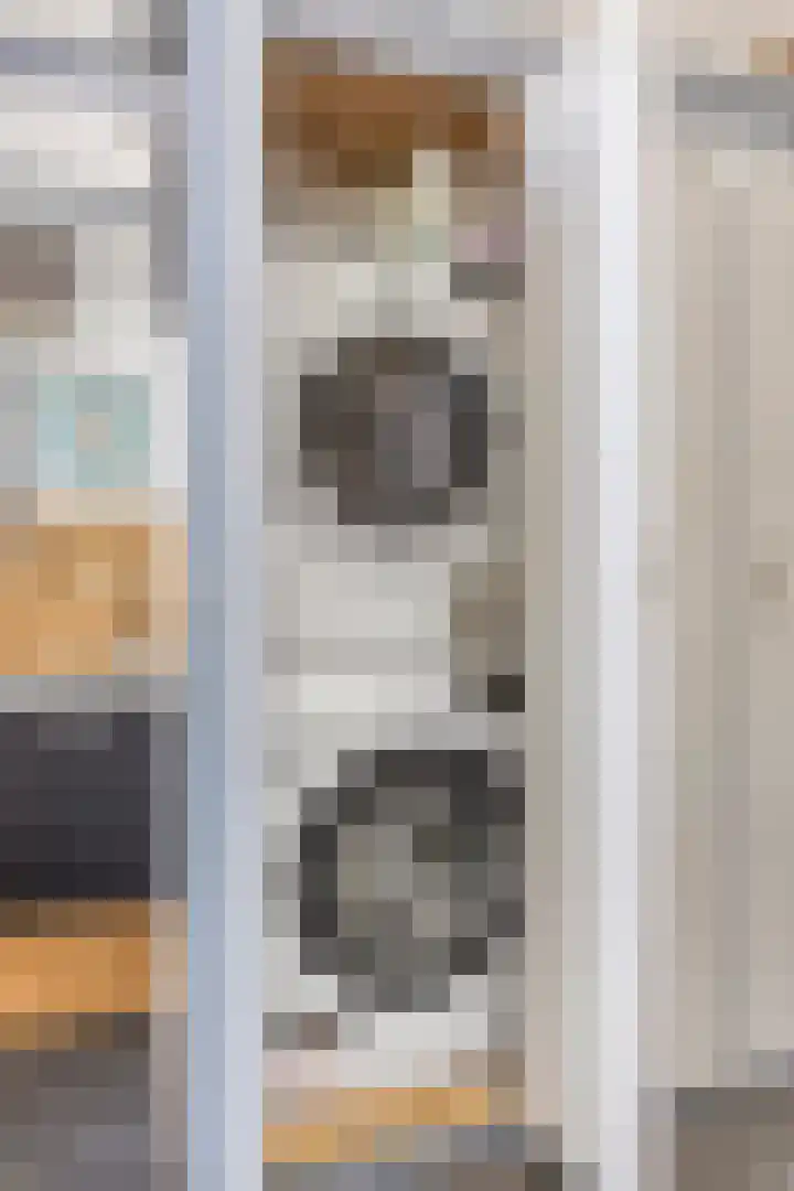 Finsestraat 20 Kraggenburg thumbnail 10