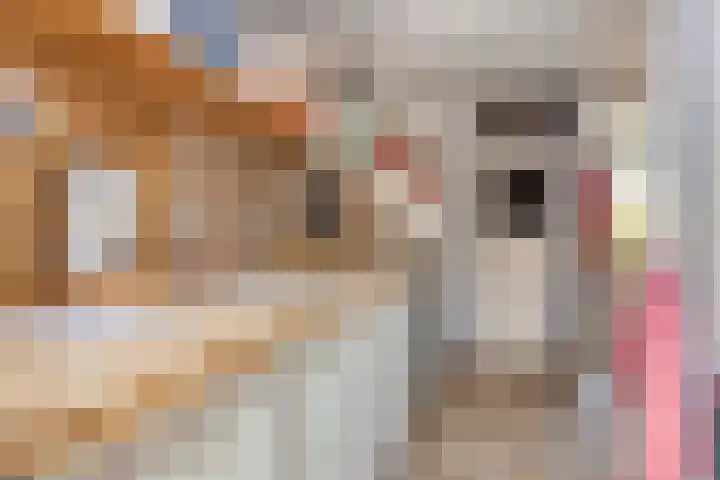 Finsestraat 20 Kraggenburg thumbnail 18