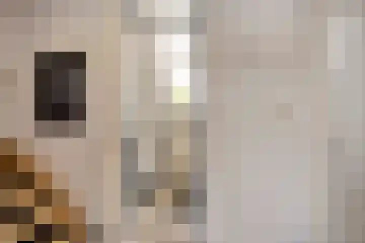 Finsestraat 20 Kraggenburg thumbnail 22
