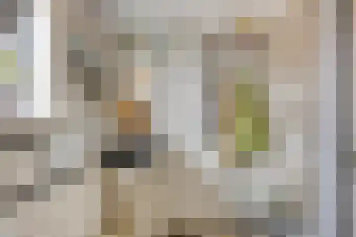 Finsestraat 20 Kraggenburg thumbnail 26