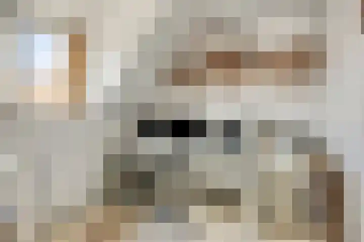 Finsestraat 20 Kraggenburg thumbnail 27