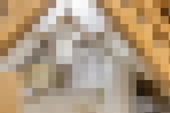 Finsestraat 20 Kraggenburg thumbnail 29