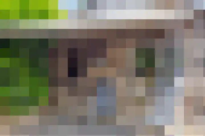 Finsestraat 20 Kraggenburg thumbnail 30