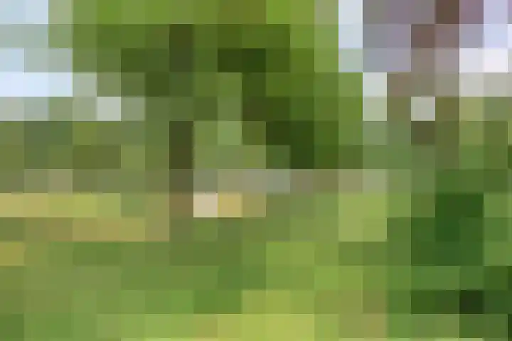 Finsestraat 20 Kraggenburg thumbnail 33
