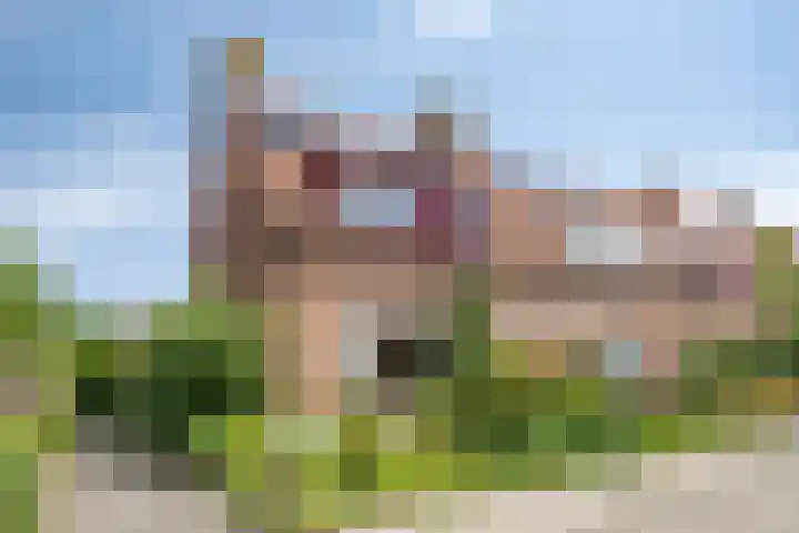 Finsestraat 20 Kraggenburg thumbnail 39