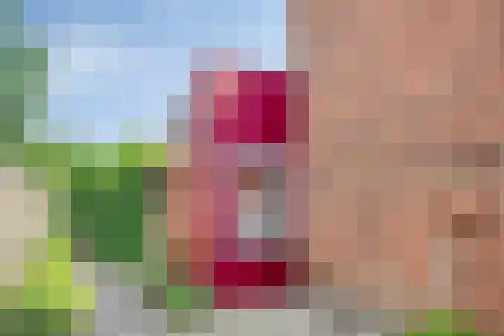 Finsestraat 20 Kraggenburg thumbnail 7