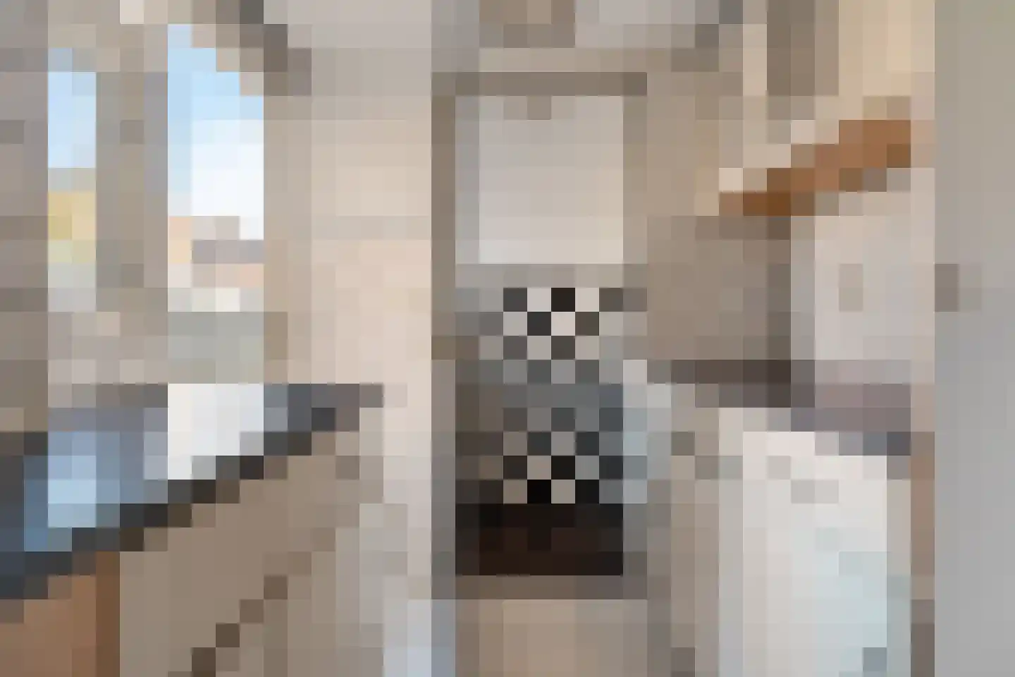 Finsestraat 28 Kraggenburg thumbnail 17