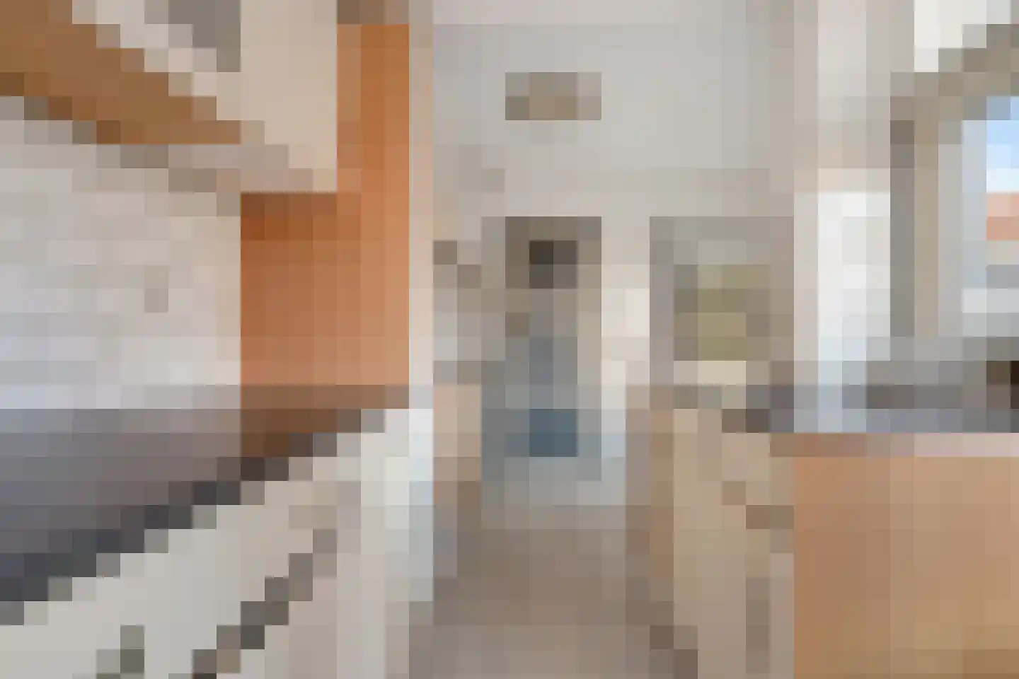 Finsestraat 28 Kraggenburg thumbnail 18