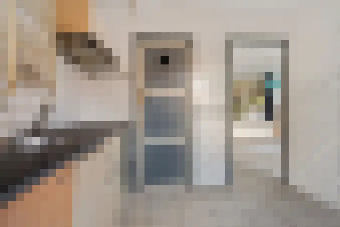 Finsestraat 28 Kraggenburg thumbnail 19