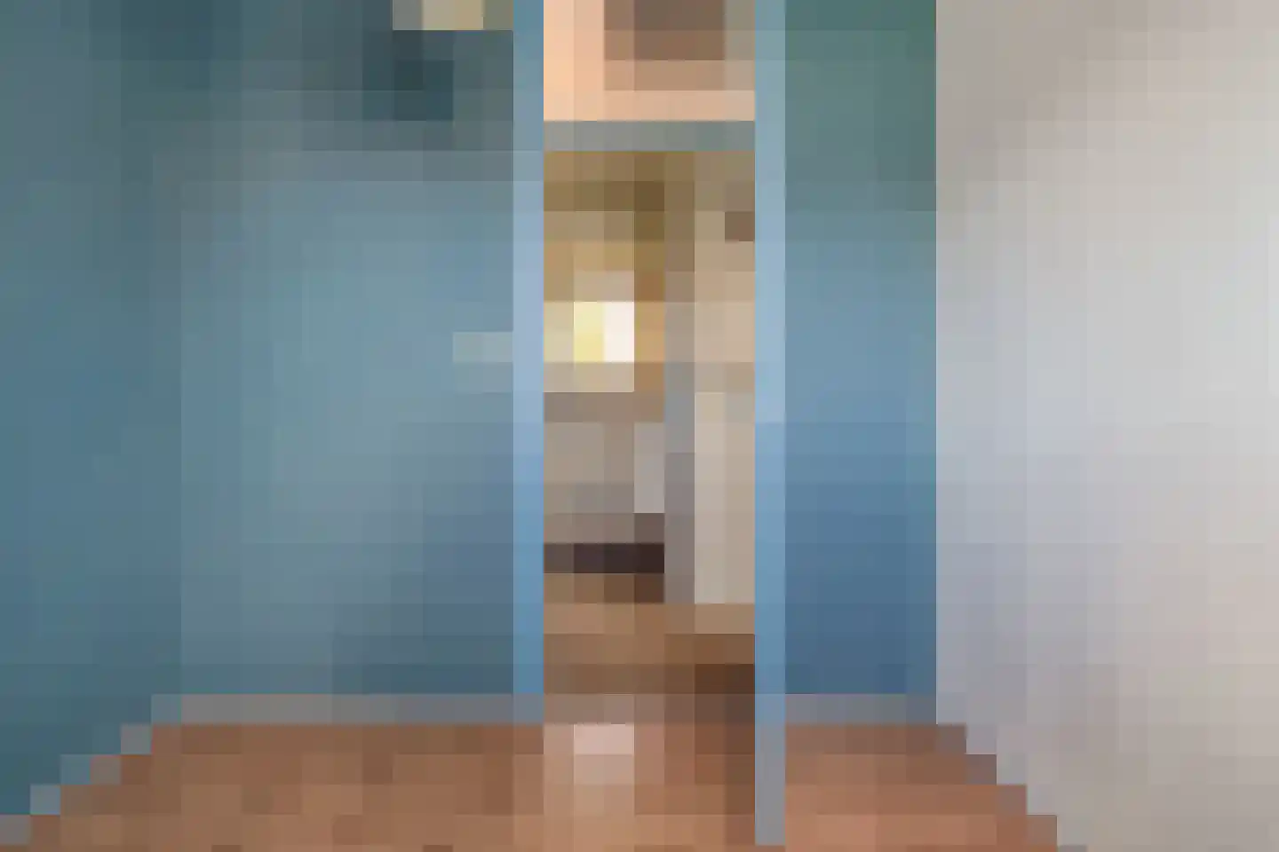 Finsestraat 28 Kraggenburg thumbnail 23