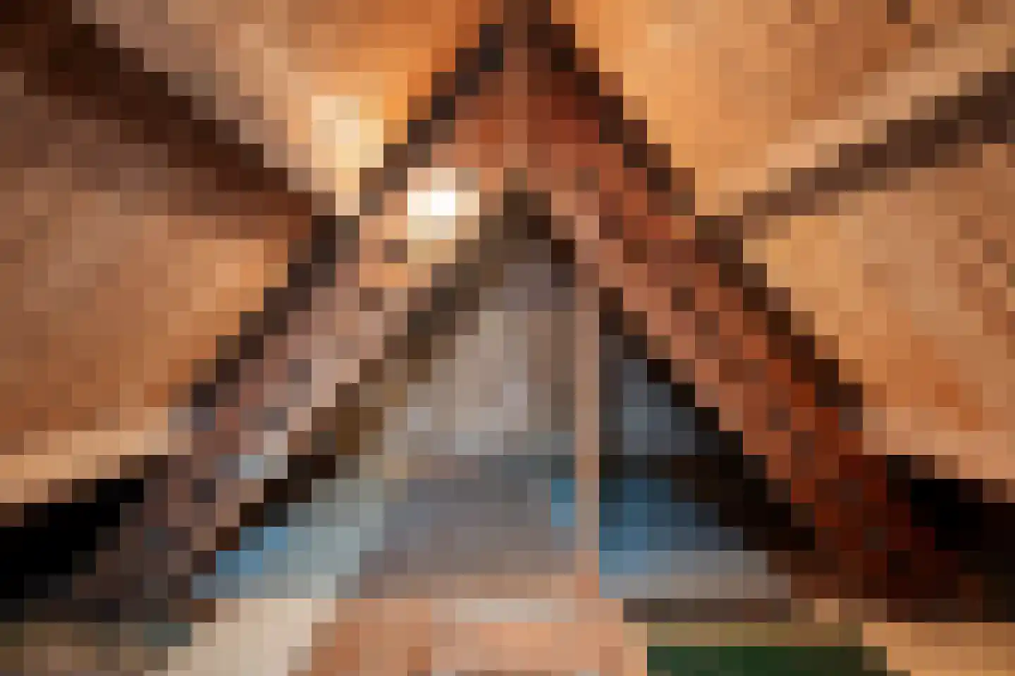 Finsestraat 28 Kraggenburg thumbnail 36