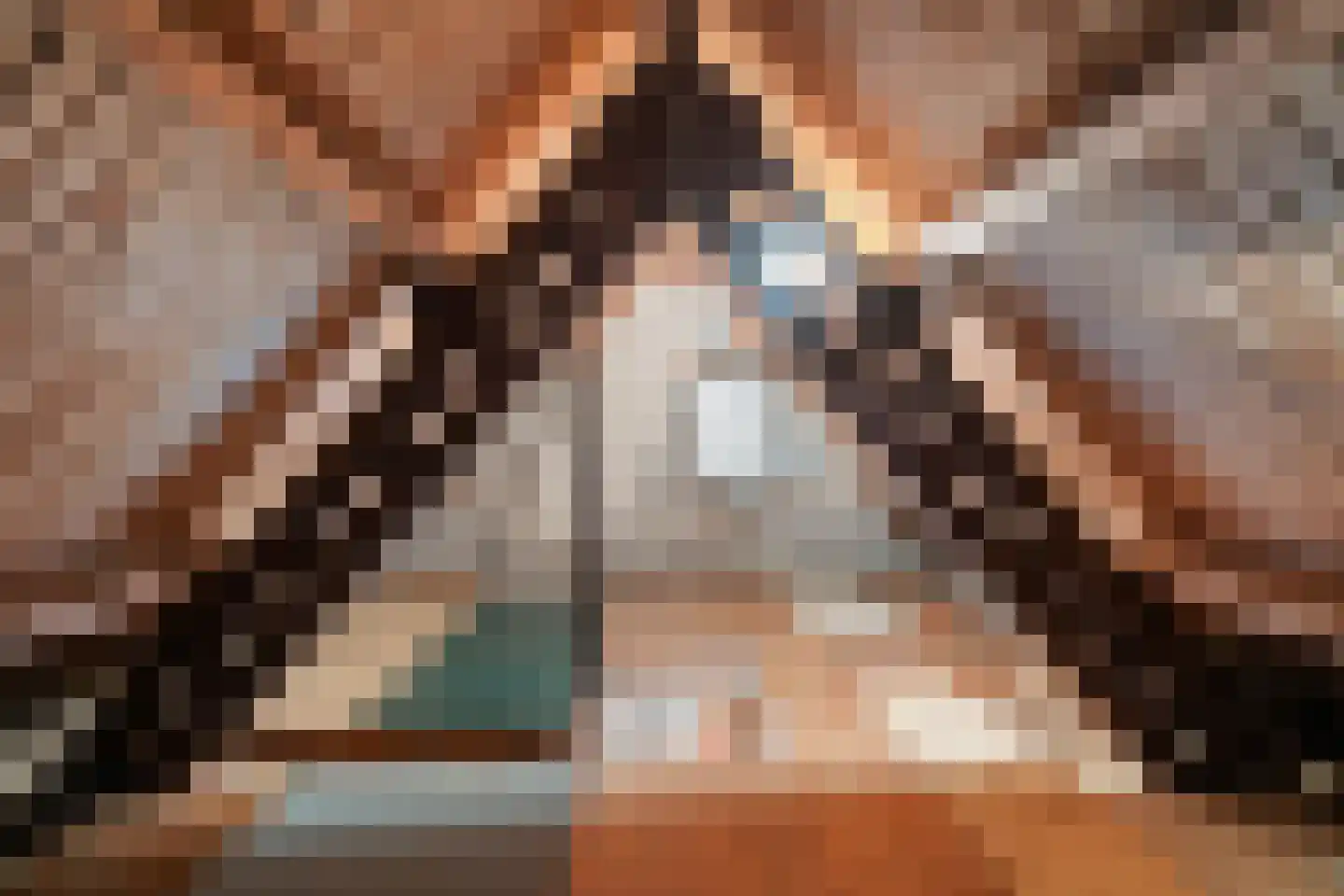 Finsestraat 28 Kraggenburg thumbnail 37