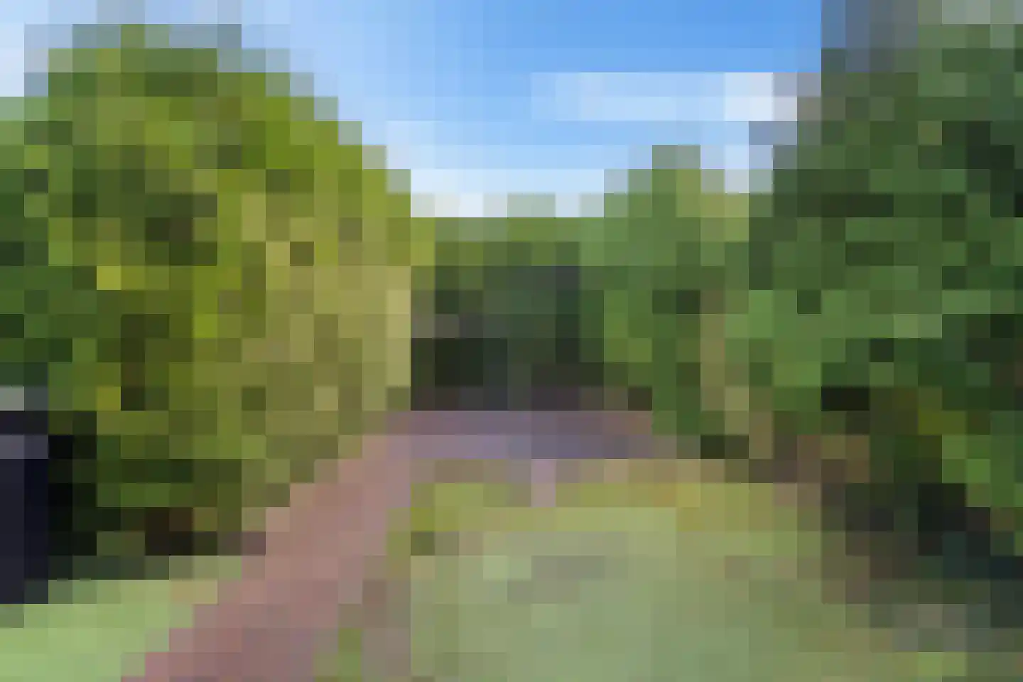 Finsestraat 28 Kraggenburg thumbnail 39