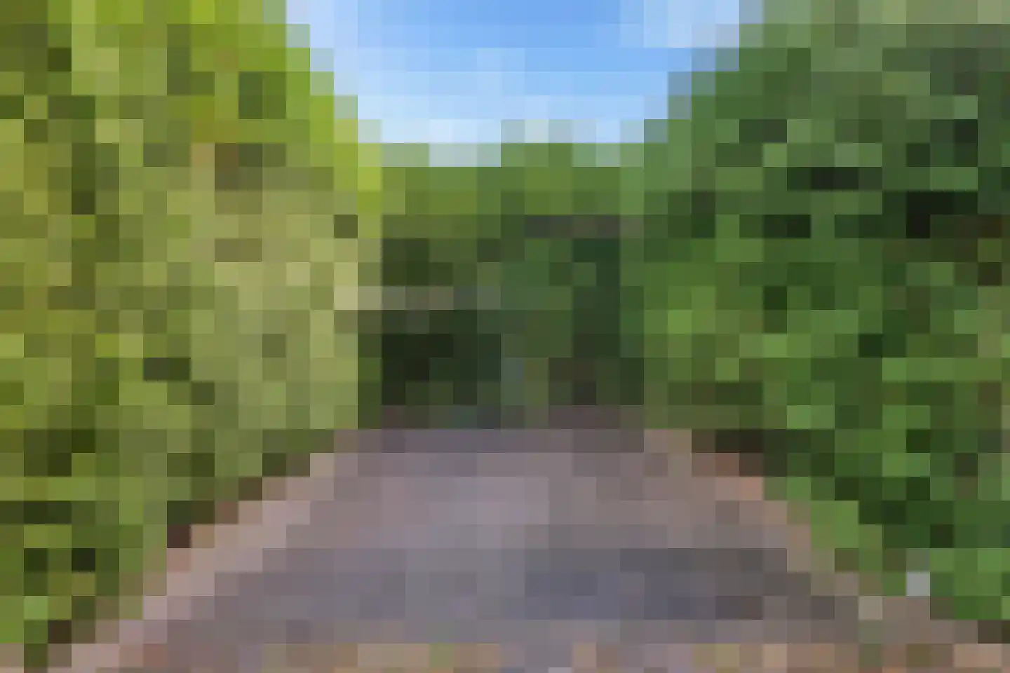 Finsestraat 28 Kraggenburg thumbnail 40