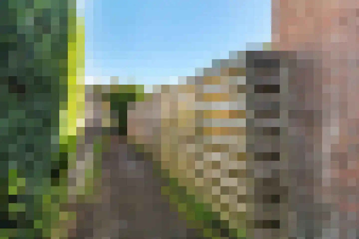 Finsestraat 28 Kraggenburg thumbnail 45