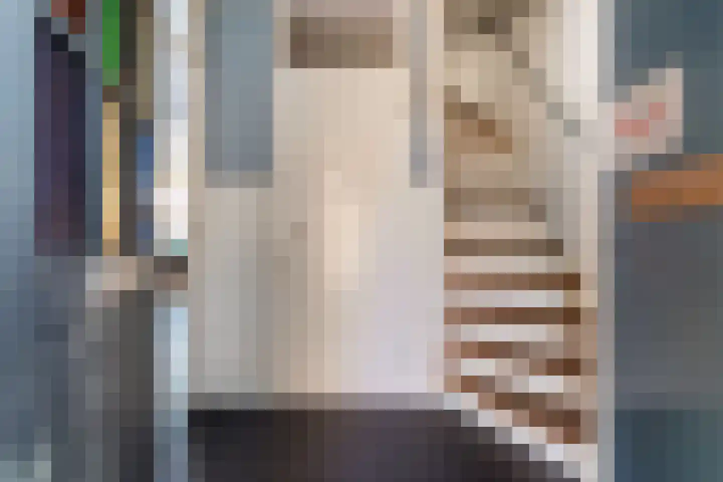 Finsestraat 28 Kraggenburg thumbnail 6