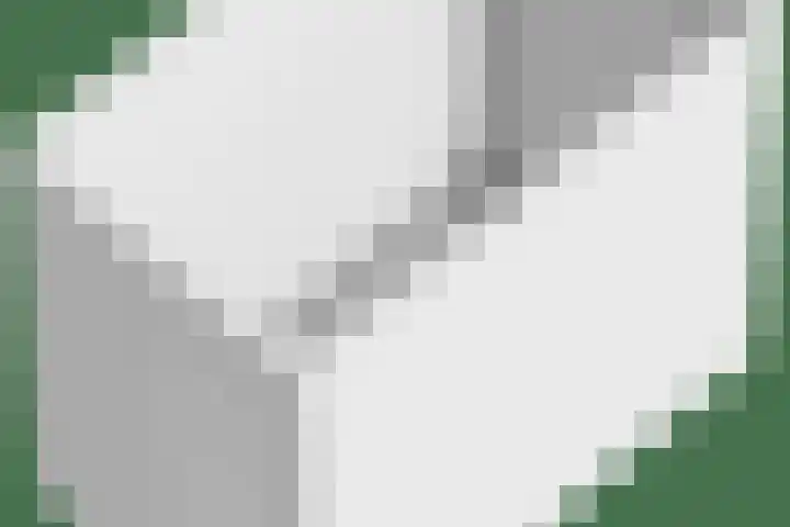 Finsestraat 4 Zaandam thumbnail 31