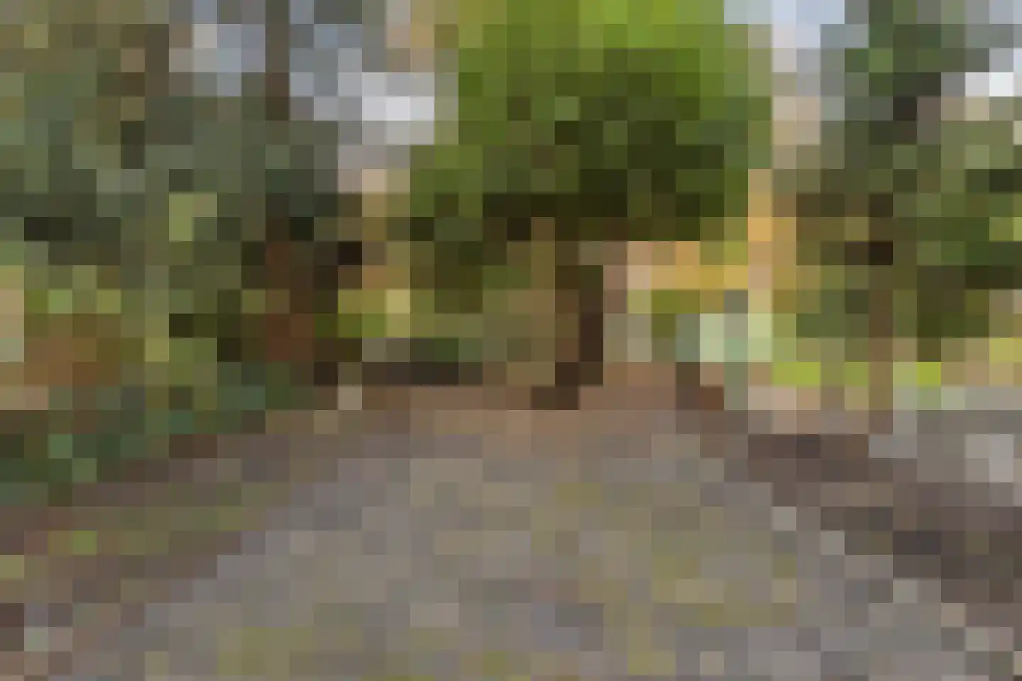 Finsestraat 41 A Rotterdam thumbnail 4