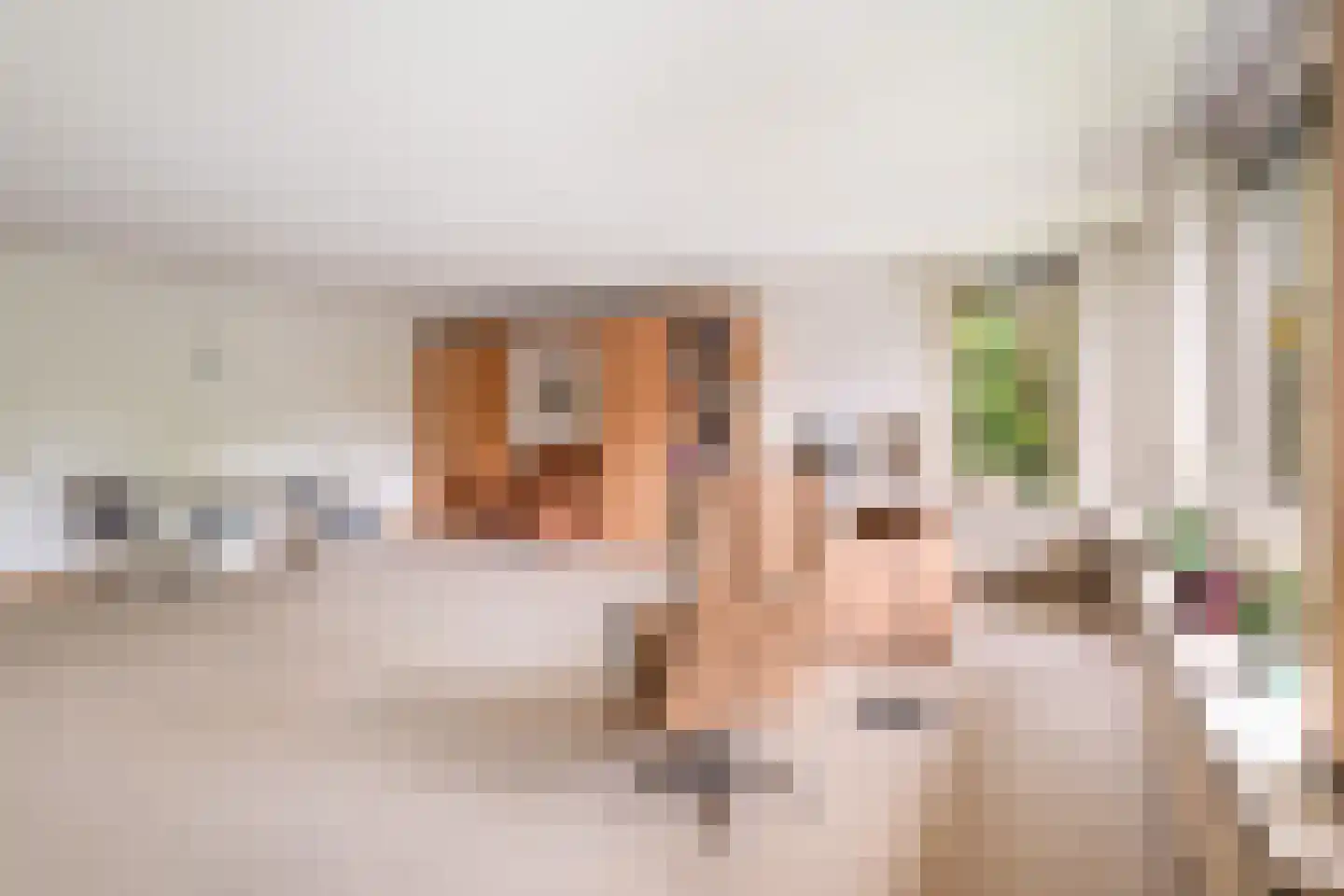 Finsponglaan 102 Zeist thumbnail 19