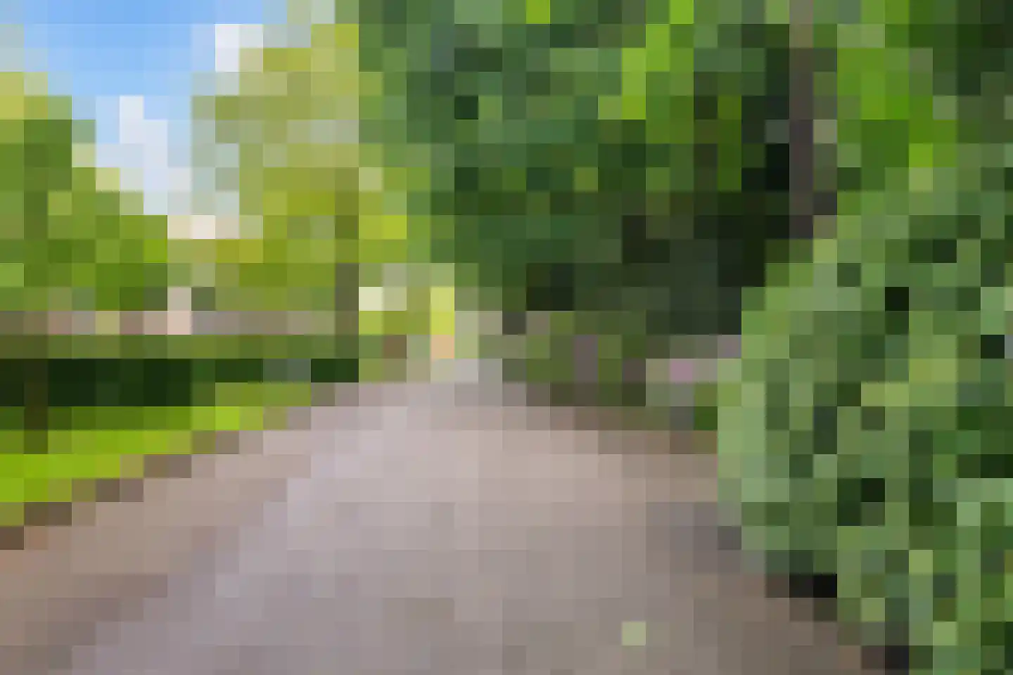 Finsponglaan 102 Zeist thumbnail 38