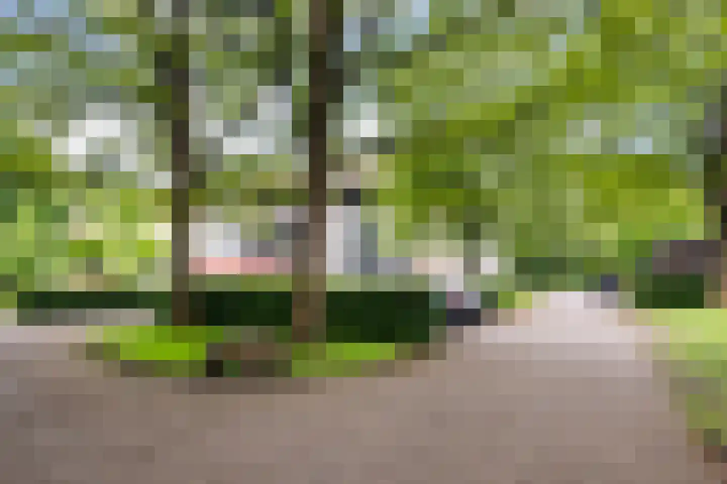 Finsponglaan 102 Zeist thumbnail 5