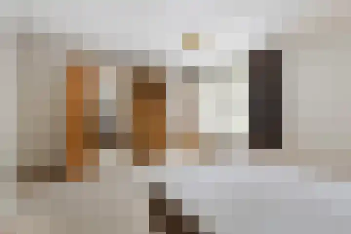 Finsponglaan 114 Zeist thumbnail 23