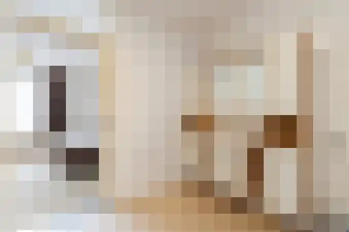 Finsponglaan 114 Zeist thumbnail 26