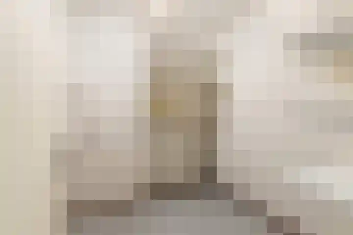Finsponglaan 114 Zeist thumbnail 31