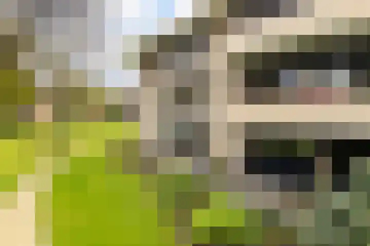 Finsponglaan 114 Zeist thumbnail 34