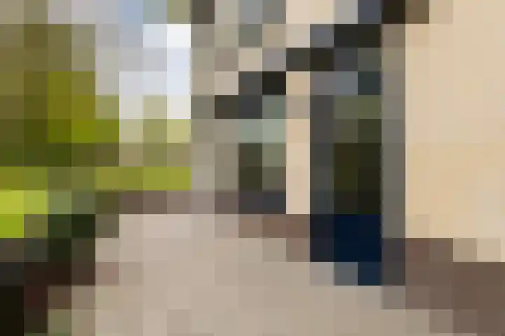 Finsponglaan 114 Zeist thumbnail 35