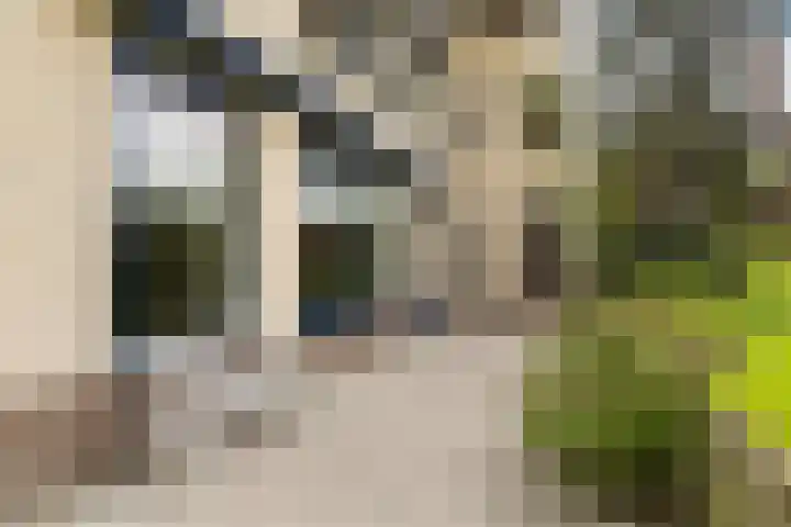 Finsponglaan 114 Zeist thumbnail 36