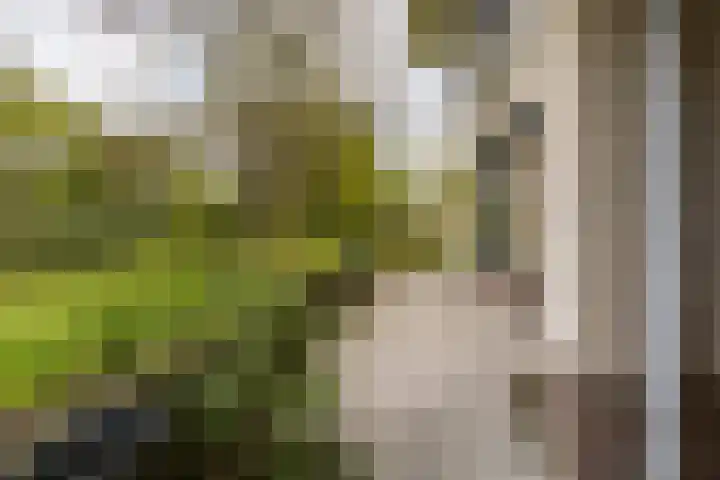Finsponglaan 114 Zeist thumbnail 38