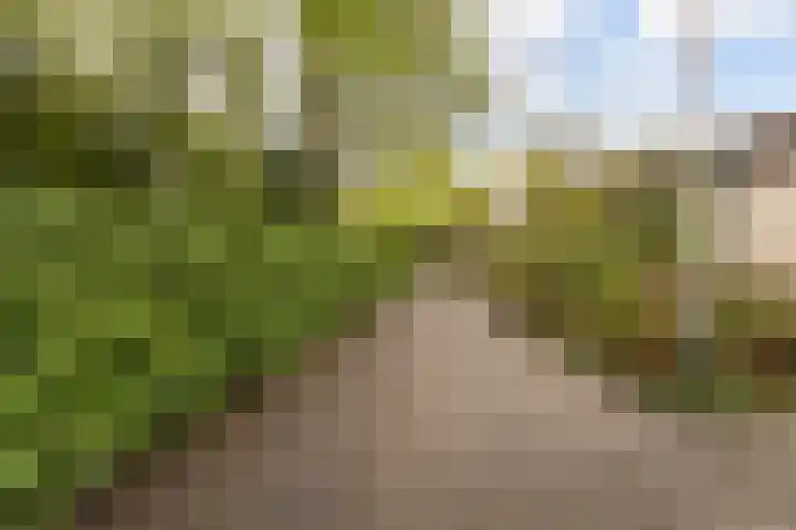 Finsponglaan 114 Zeist thumbnail 39