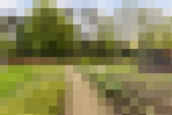 Finsponglaan 114 Zeist thumbnail 40