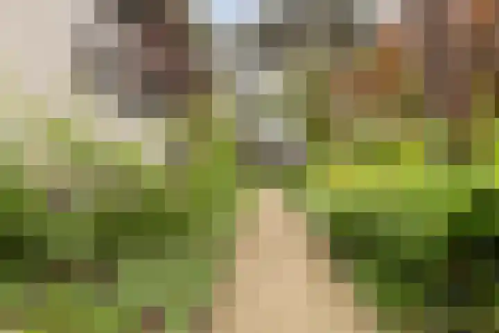 Finsponglaan 114 Zeist thumbnail 41