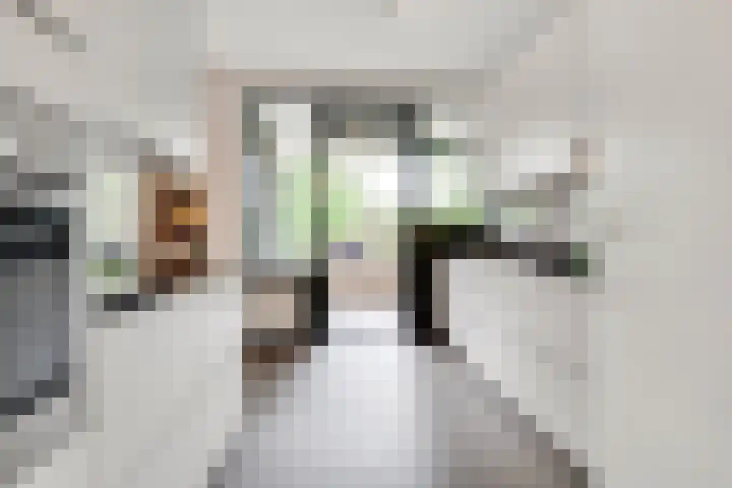 Finsponglaan 18 Zeist thumbnail 11