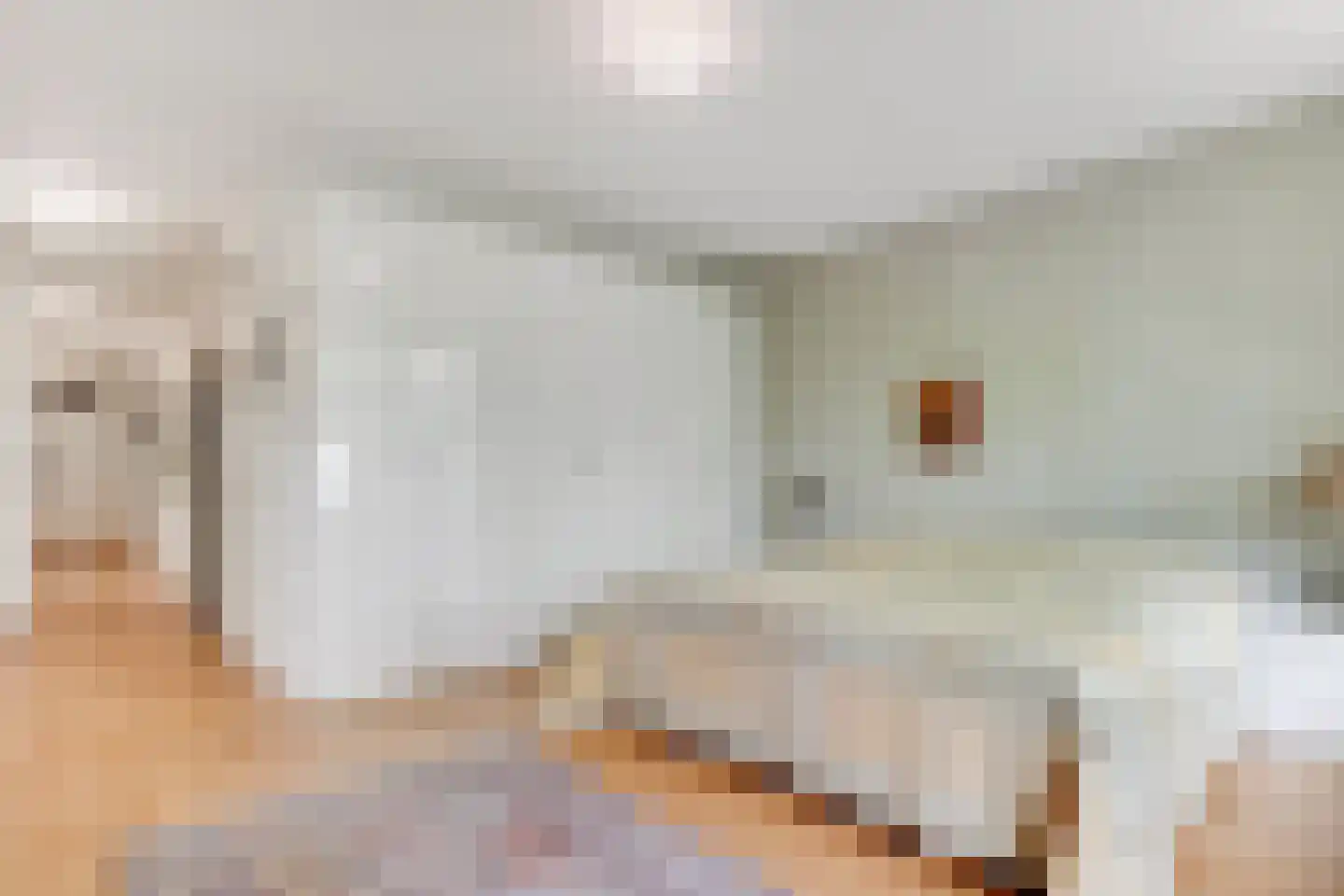 Finsponglaan 18 Zeist thumbnail 24
