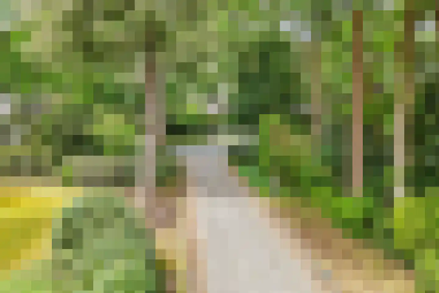 Finsponglaan 18 Zeist thumbnail 41