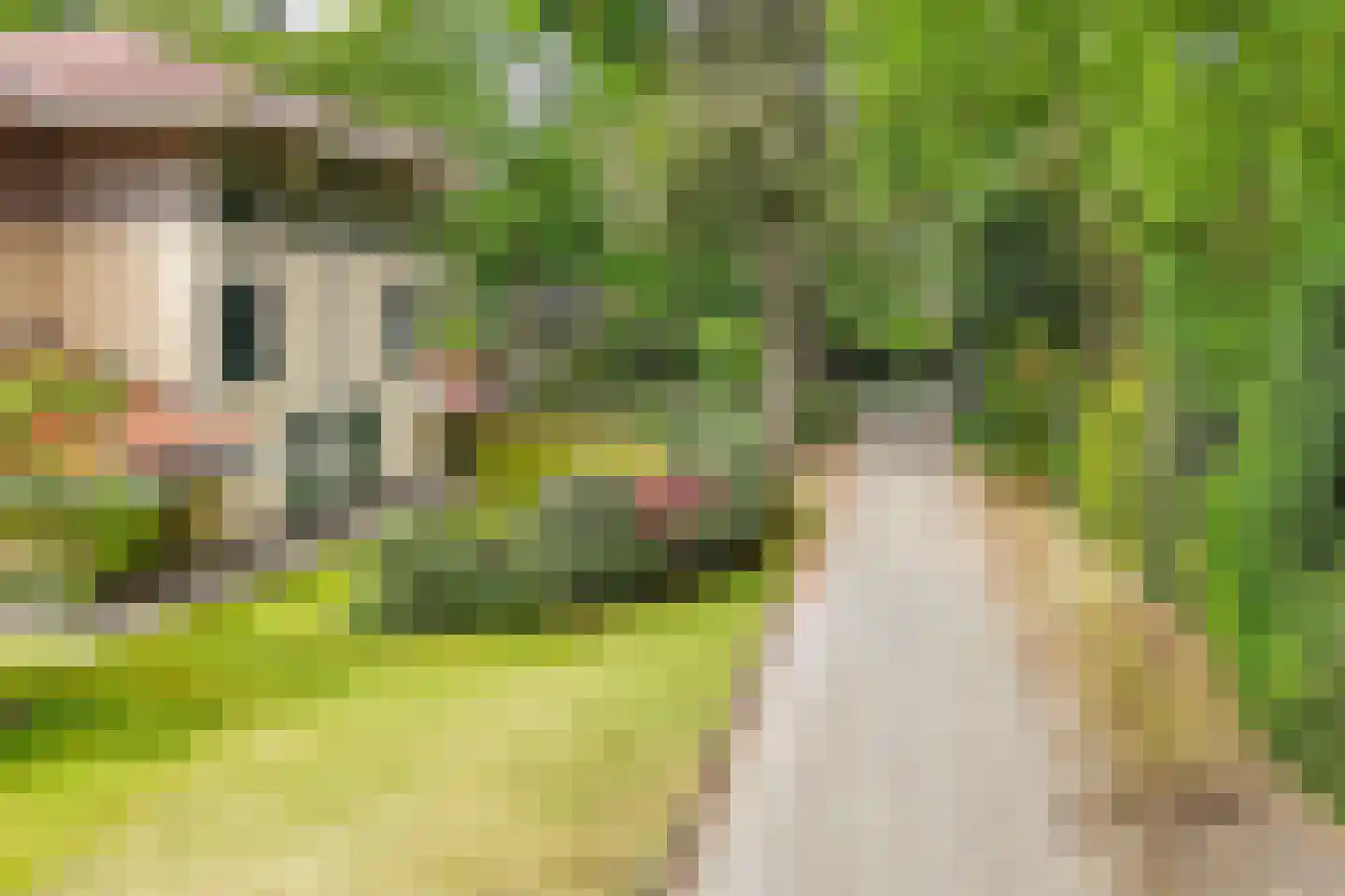 Finsponglaan 18 Zeist thumbnail 42