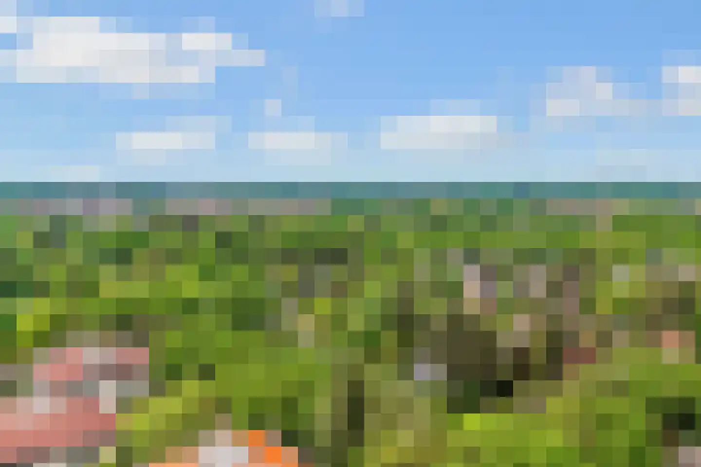 Finsponglaan 18 Zeist thumbnail 46