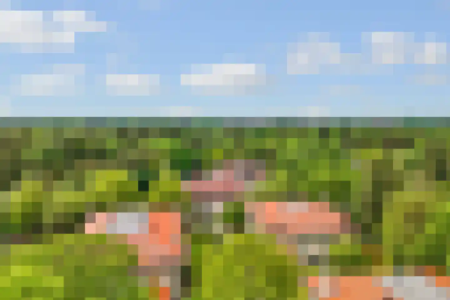 Finsponglaan 18 Zeist thumbnail 47
